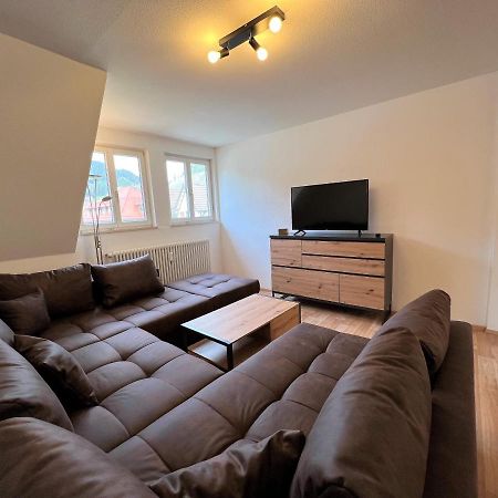 Ferienwohnung Kinzigblick *NEU* für Familien im Schwarzwald Kinzigtal Schenkenzell Exterior foto